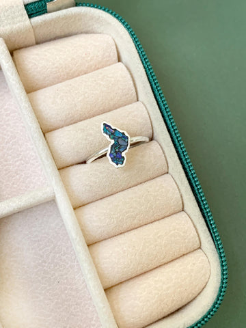 Anel Mapa do Piauí em Opala